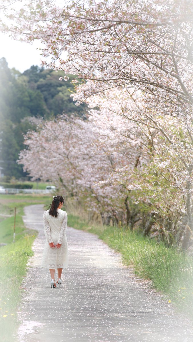 ryohryoh10's tweet photo. 桜ポトレ ゆる募  4/3   #桜 #ポトレ #ポートレート #被写体 #被写体募集 #愛知 #静岡 https://t.co/flKYdzMUx2