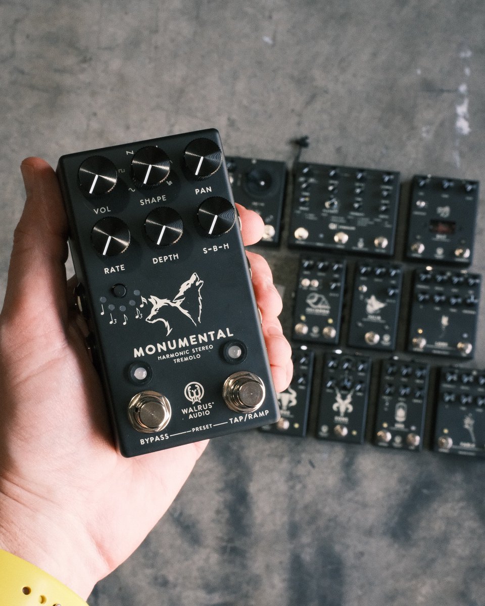 Walrus Audio tweet media