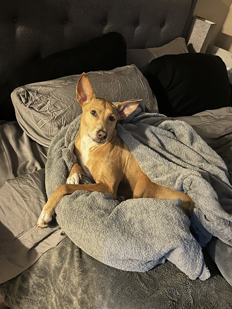 kBernyRT.AlphaJunkie tweet media