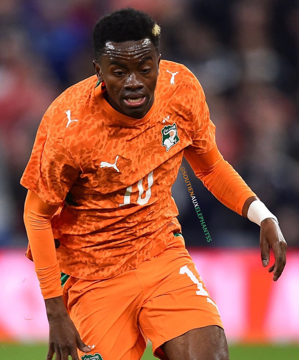 SOUTIENAUXELEPHANTS🇨🇮 tweet media