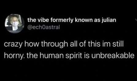 cheyene norah tweet media