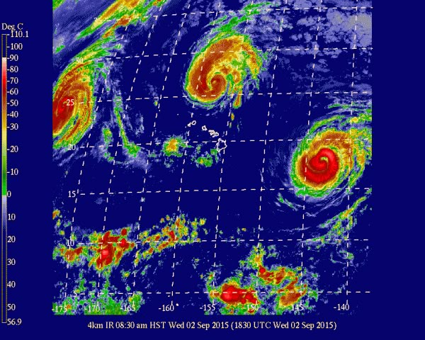 doj1t47318's tweet photo. A trader turned $200 into $20,000 in just two month on Polymarket

Account: https://t.co/yV2UngVJBR

The formula is simple:

Properly configured artificial intelligence

The weather forecast market on Polymarket

Full control of the account by the AI agent

To make money, all you need to do is copy trade this account: https://t.co/yV2UngVJBR