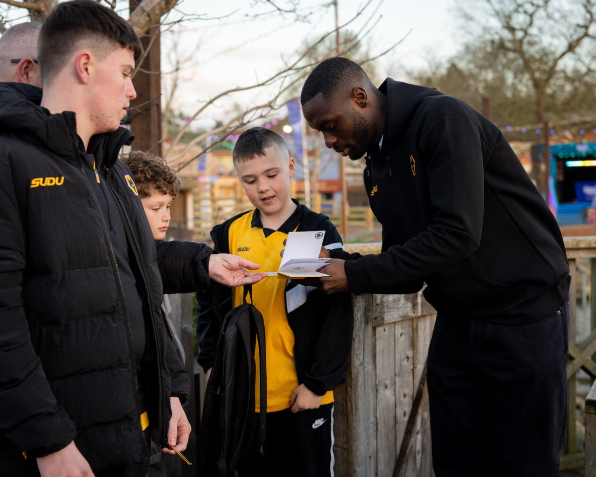 Young Wolves tweet media