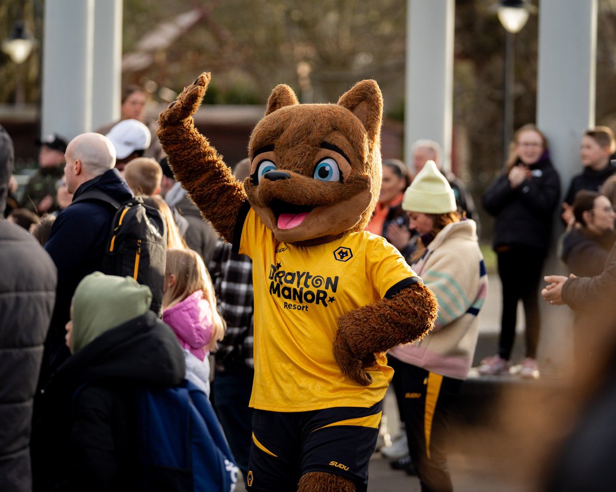 Young Wolves tweet media