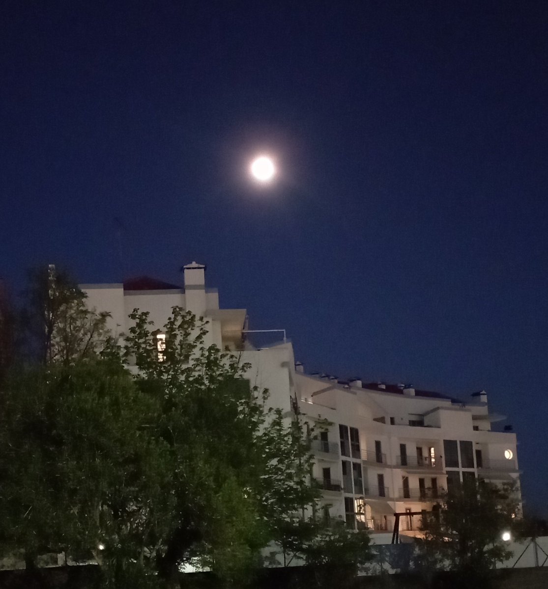 Jekyll_Jr tweet media