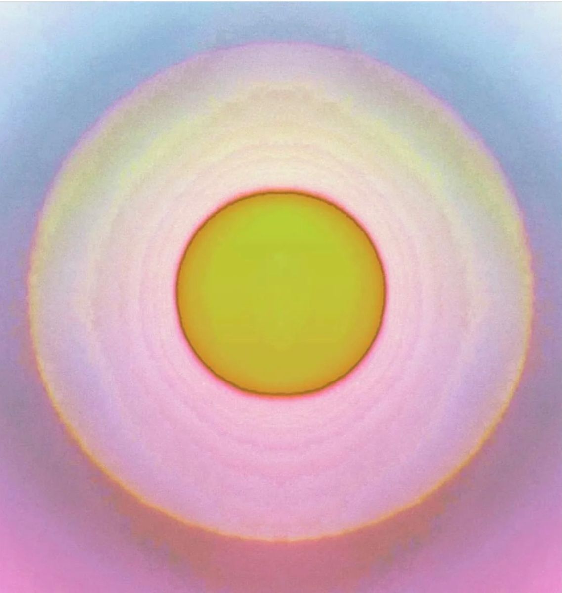 kenny ⭐️ tweet media