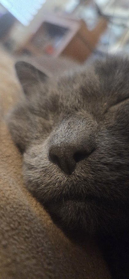 Consulting Writer tweet media