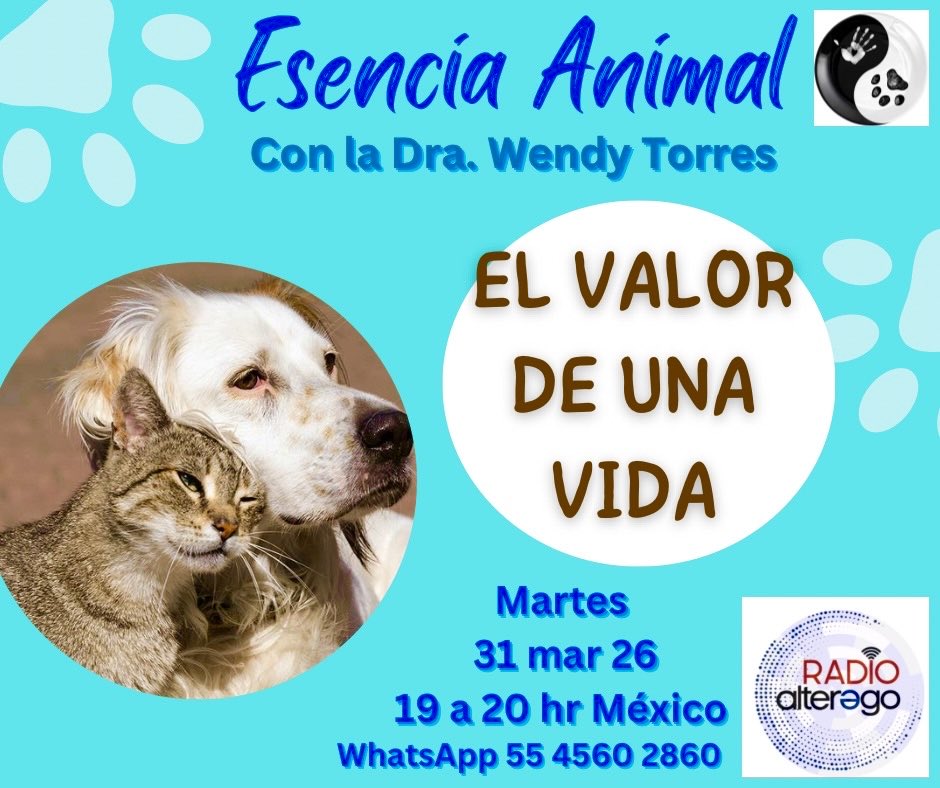 esencia_animal's tweet photo. Porque si pueden sentir… entonces su vida… importa!!! 🐾

HOY MARTES 31 marzo, 7:00 pm México. 🐶🐈🐾👇🏻Escúchame por https://t.co/WmRrgv8QEX https://t.co/KY8tcxEofb