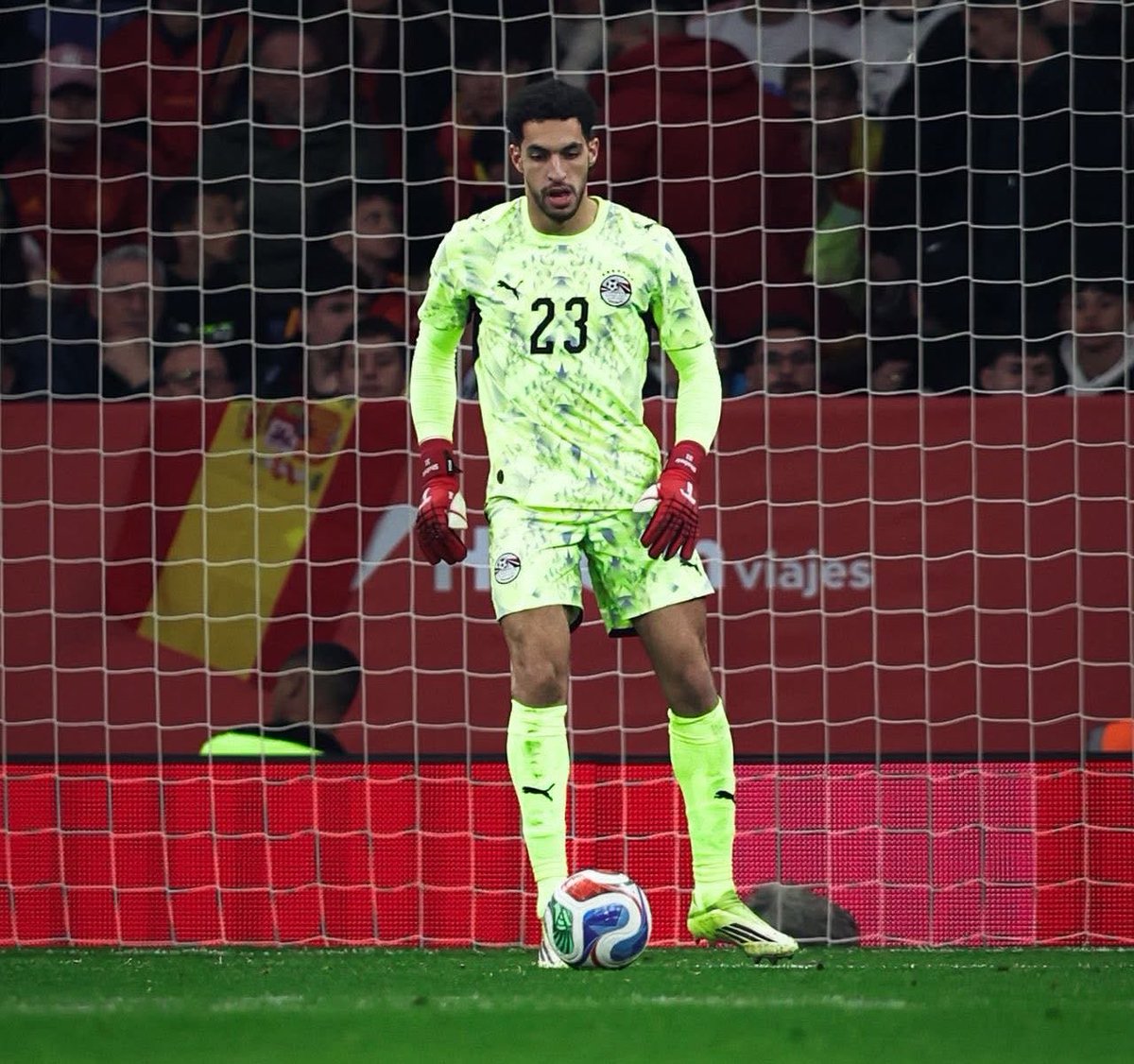 Mostafa Shobier tweet media