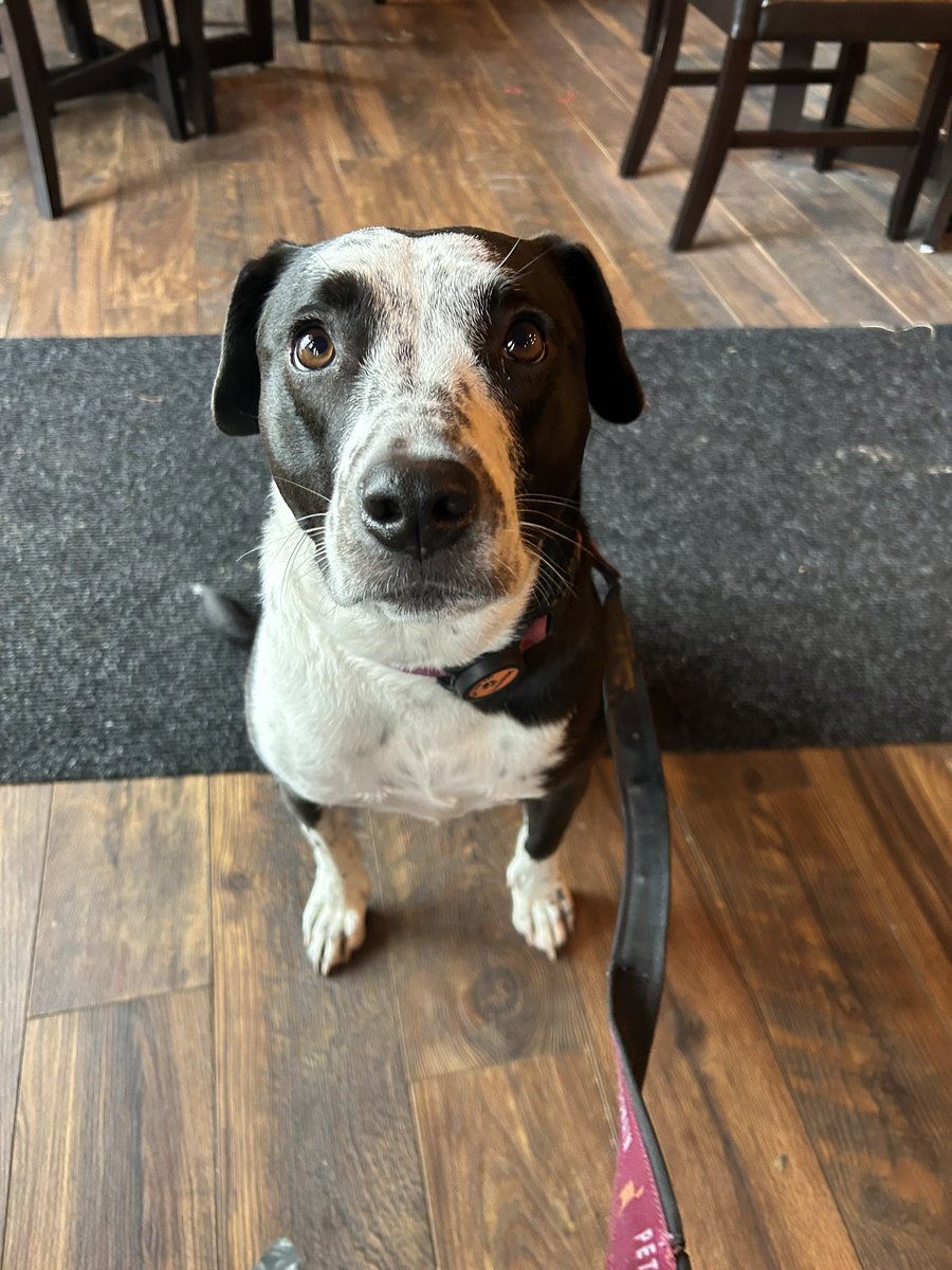 SıLэПТxGuЯu tweet media