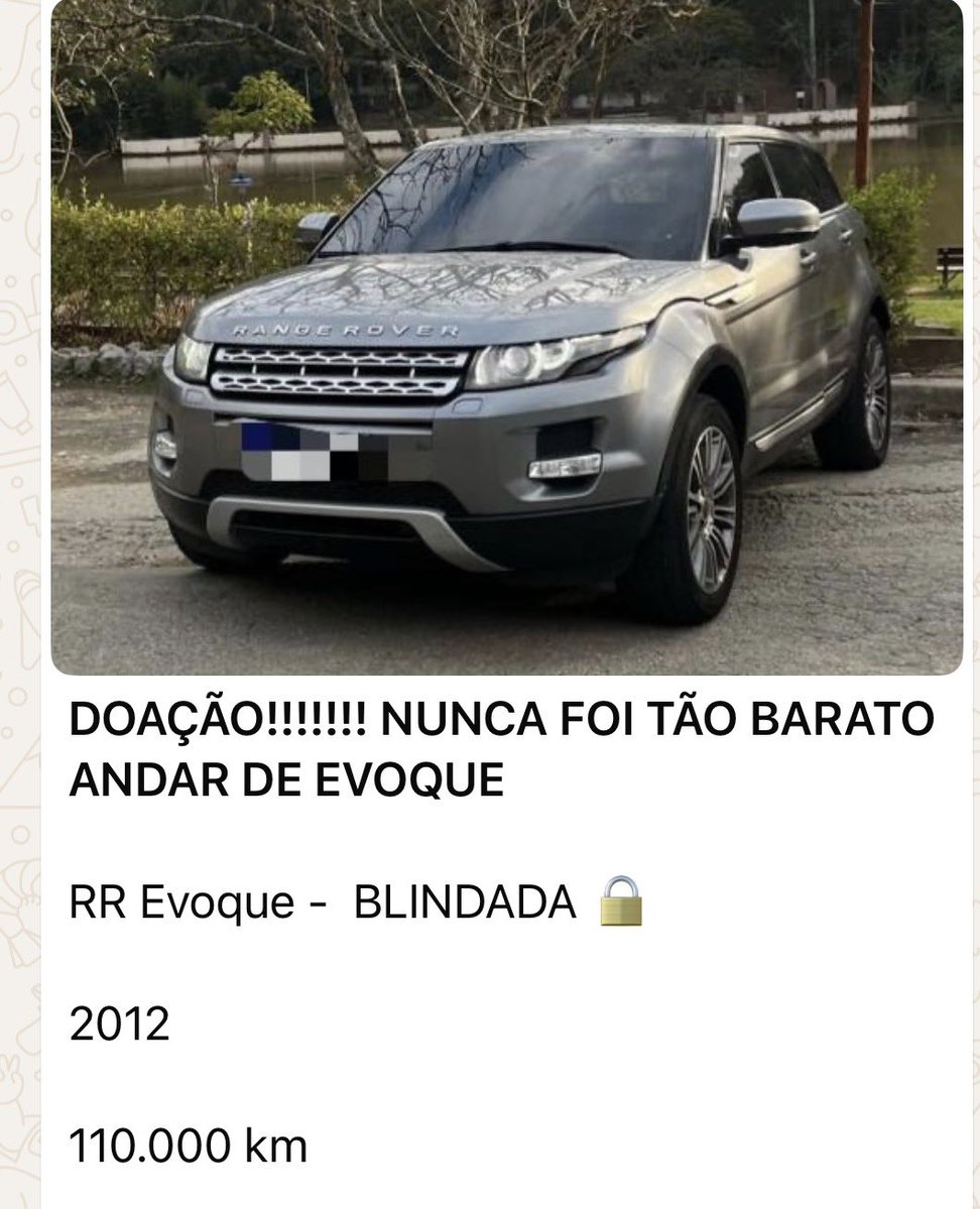 otimistaoficial tweet media