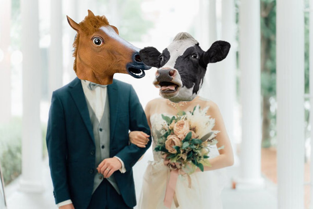 メガケンタウロス tweet media