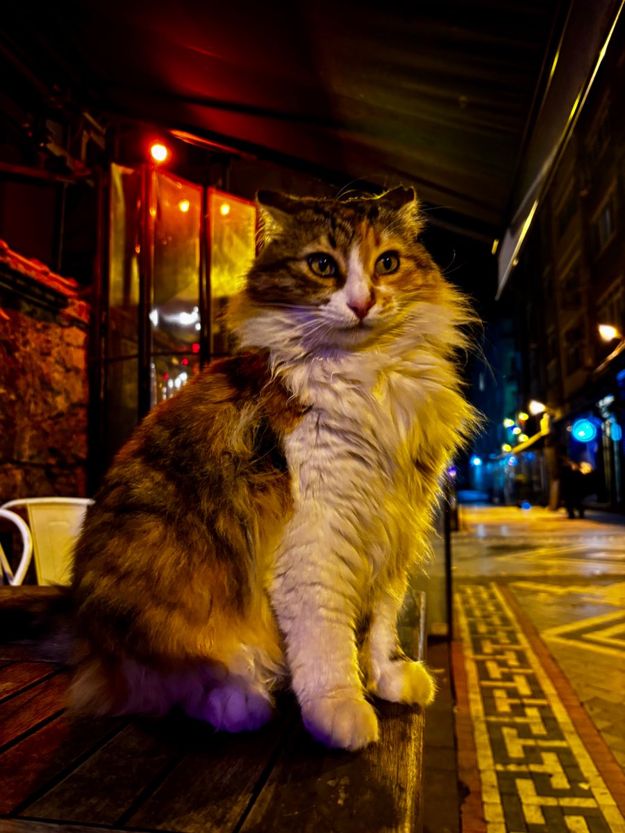 Carlos Ortega Sánchez tweet media