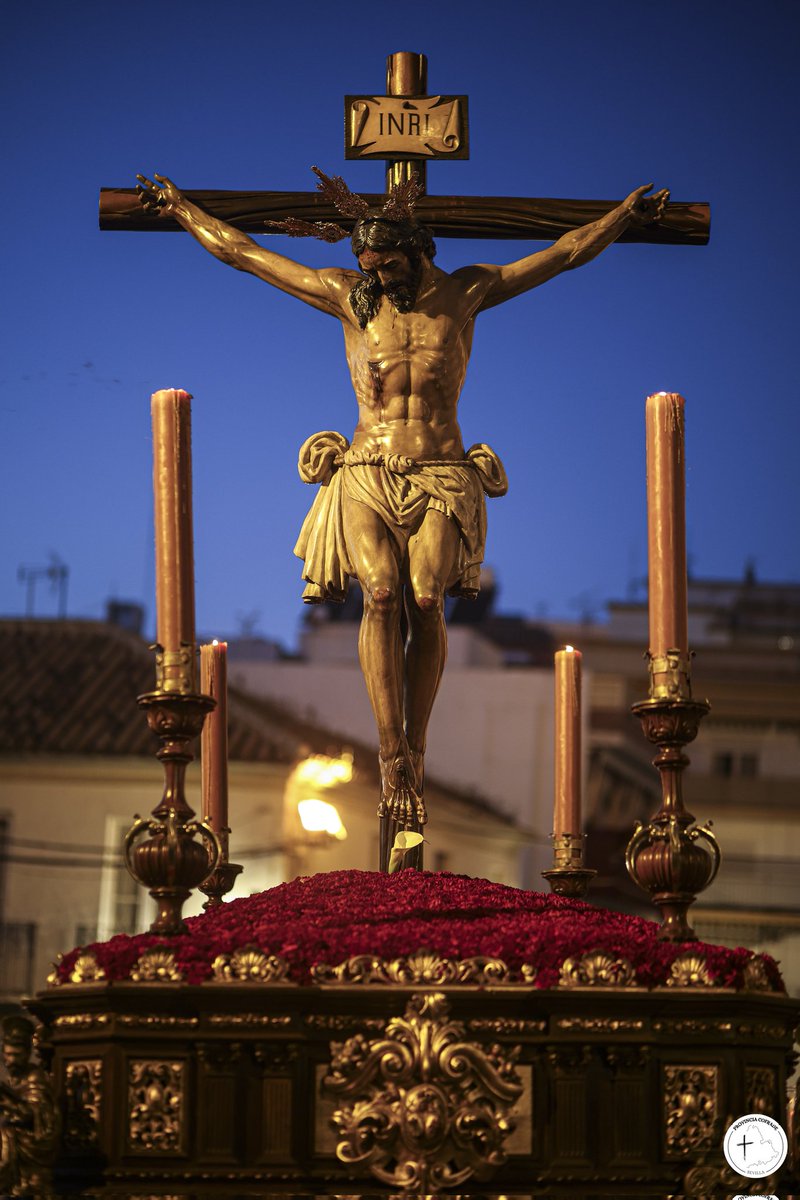 Provincia Cofrade tweet media