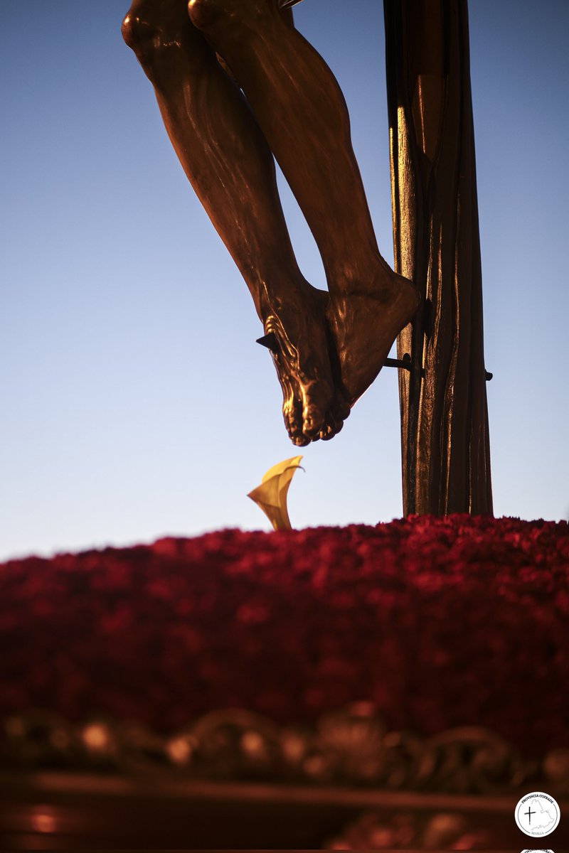 Provincia Cofrade tweet media