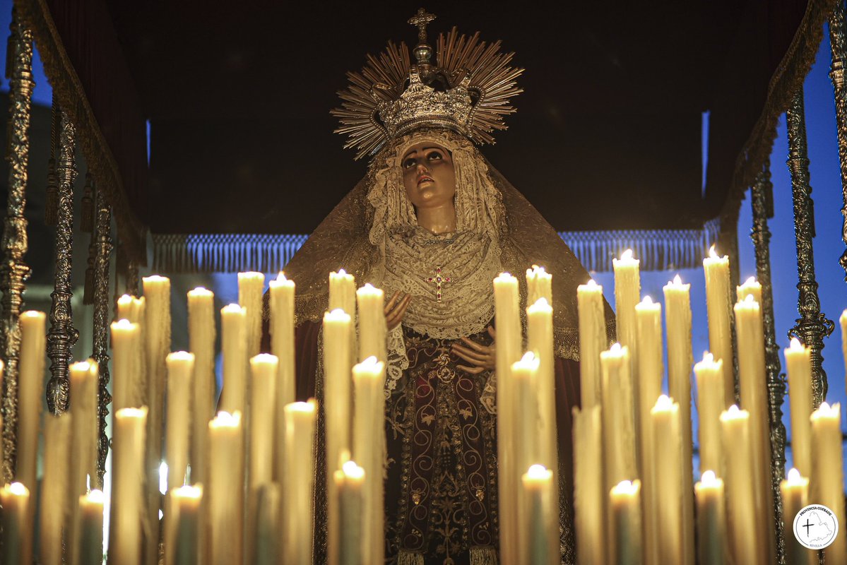 Provincia Cofrade tweet media