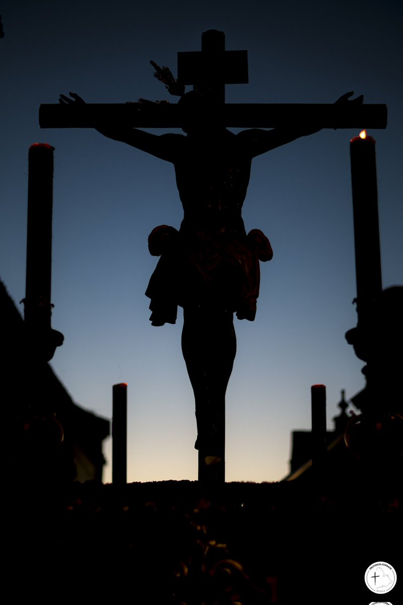 Provincia Cofrade tweet media