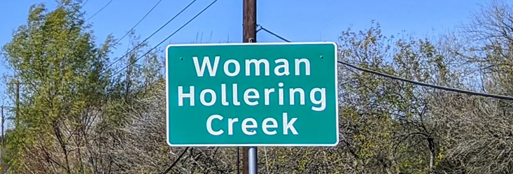 Save Texas History tweet media