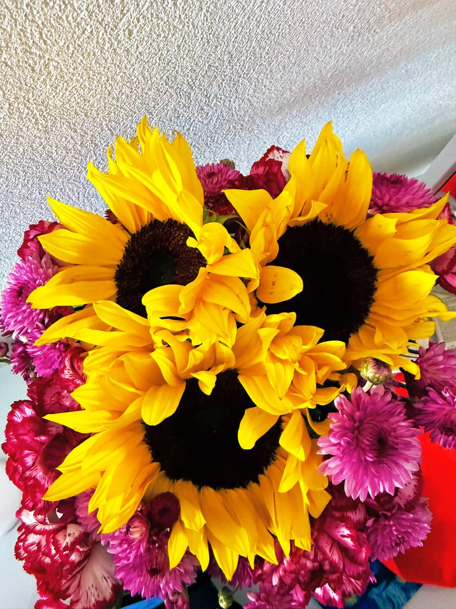 jessiim7's tweet photo. 🌻 https://t.co/VyVKjIX3xo