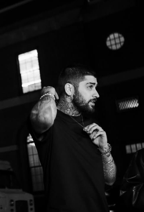 Zayn Squad Brasil 🌪️ tweet media