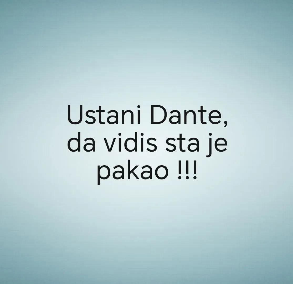 Lidija Kojic tweet media