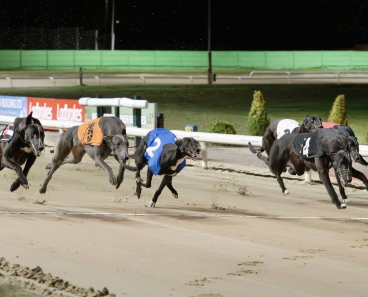 Anyone tell me how the two dog is seeded rails