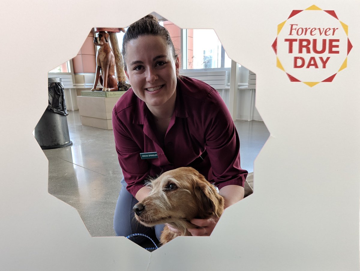 DanGrooms's tweet image. Please join me in supporting the @ISUVetMed  during the 2026 Forever TRUE Day April 1-2
forevertrueday.com
#DiscoverDevelopDeliver