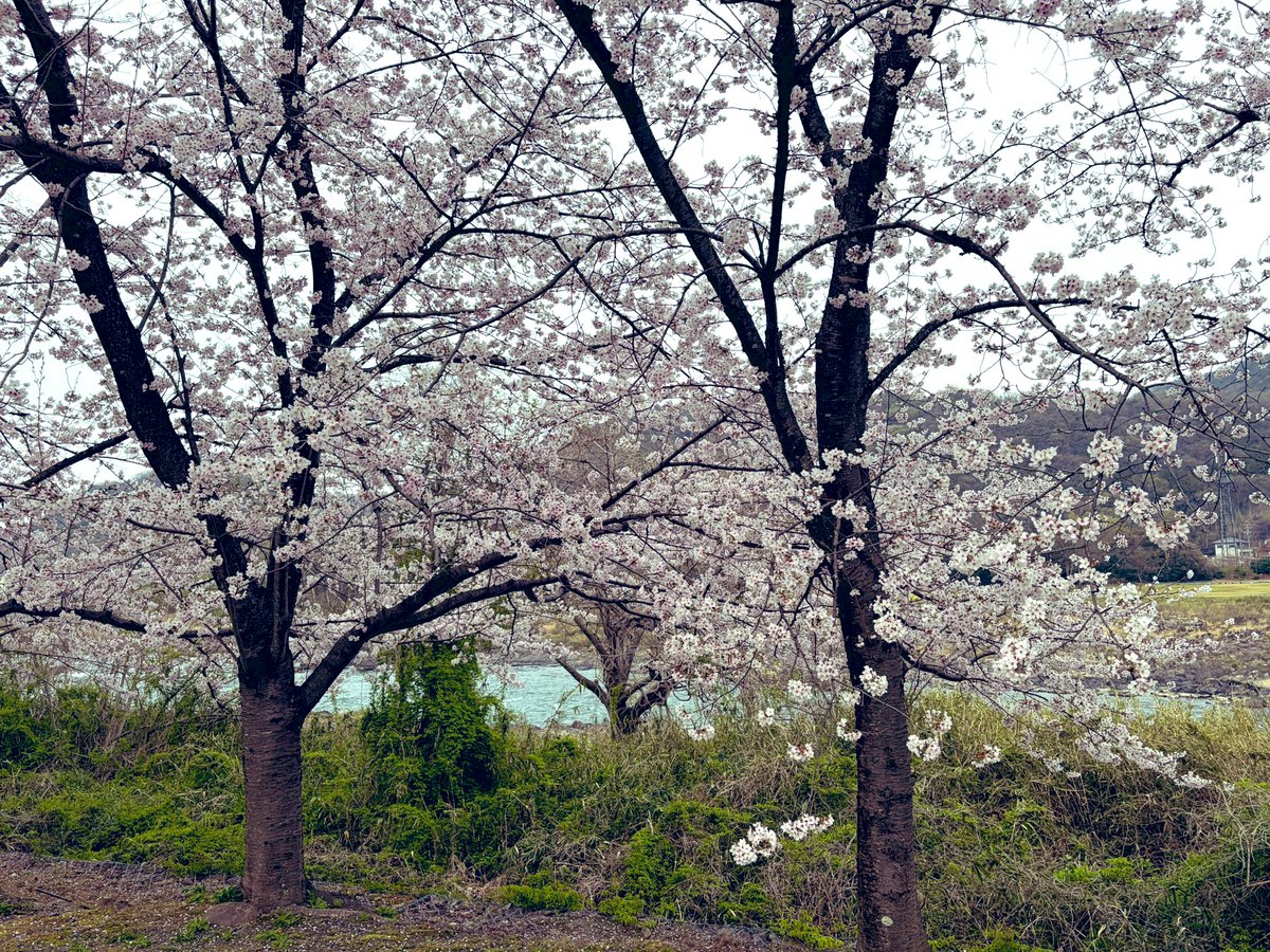 今日から新年度🌸

日々いろいろあるけれど
ぼちぼち頑張っていこー

\( •̀ω•́ )/ﾌｧｲﾄｰ