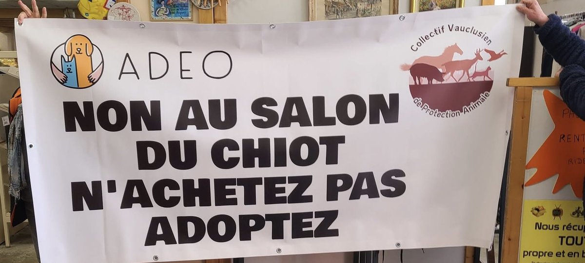 claireparisjazz's tweet image. 📣📣📣📣📣
#Avignon
NON au salon du chiot 😡 samedi 4 avril 14h parc des expos avec  Adeo animalis 
facebook.com/share/r/1RBRZA… 
😉 @OlivierGalzi 
Ginette Bauer 💪🏻
#Vaucluse