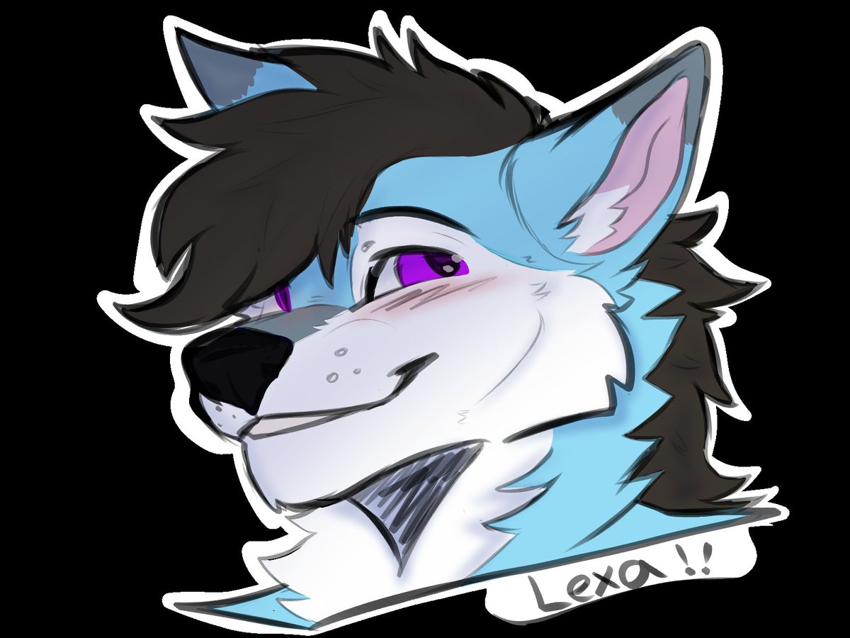 lexa_The_wolf28's tweet photo. @Lord_Doggo12 My beautiful lexa https://t.co/9R0xYm5YGR