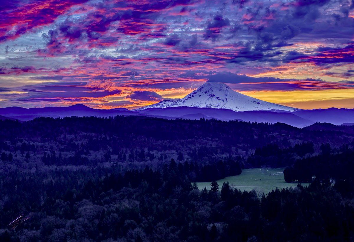 Intellectual Nebula Media tweet media