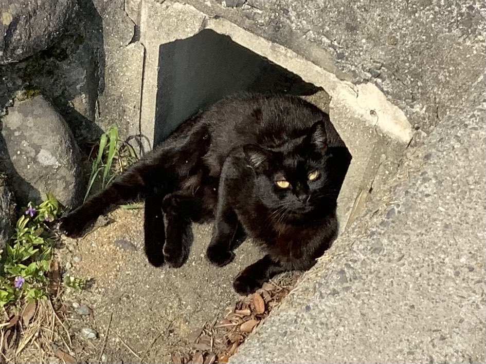 光太郎@毎日ウォーキング tweet media