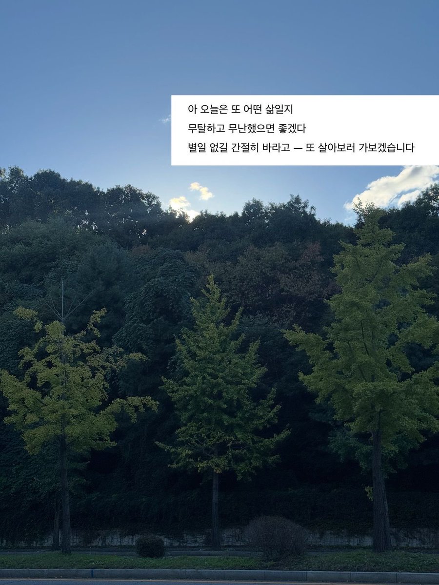 baekhyun_a tweet media