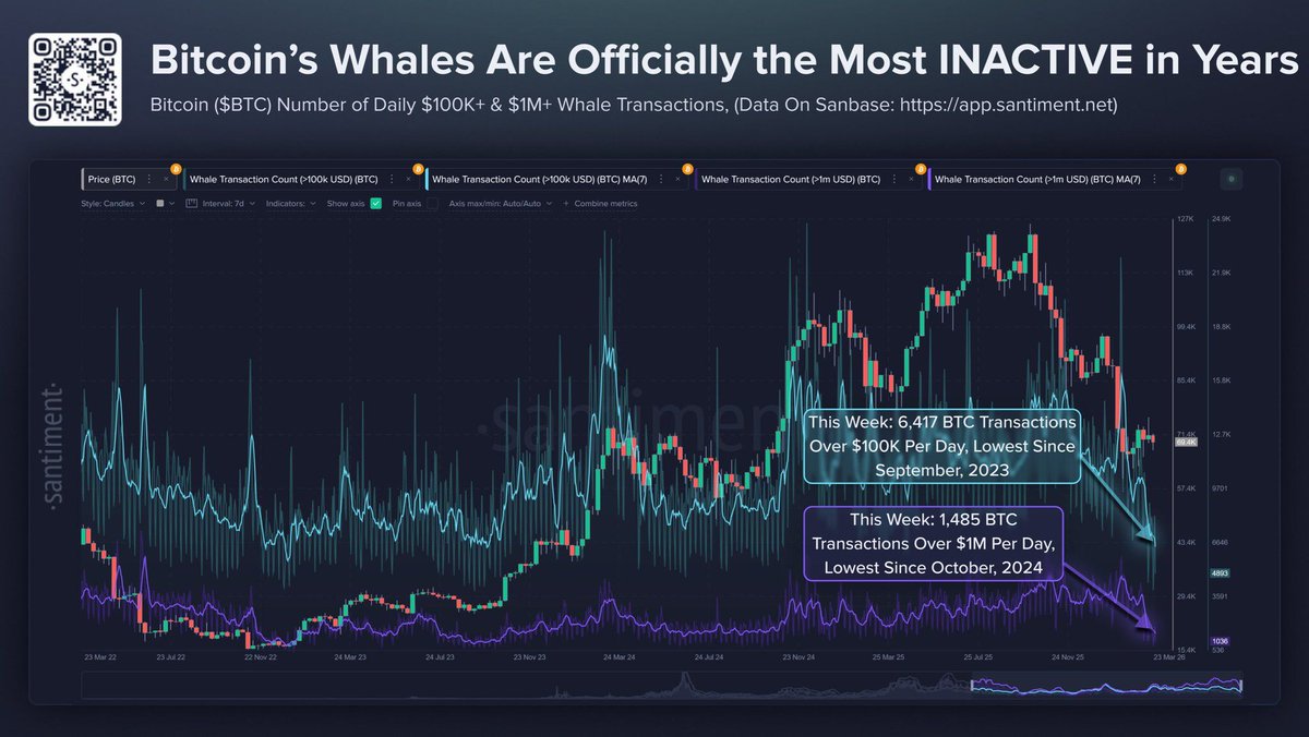 Cointelegraph's tweet photo. 🚨 UPDATE: Bitcoin whale activity hits multi-month lows with 6,417 daily $100K+ transfers and 1,485 $1M+ transfers. https://t.co/KaEINu4hui