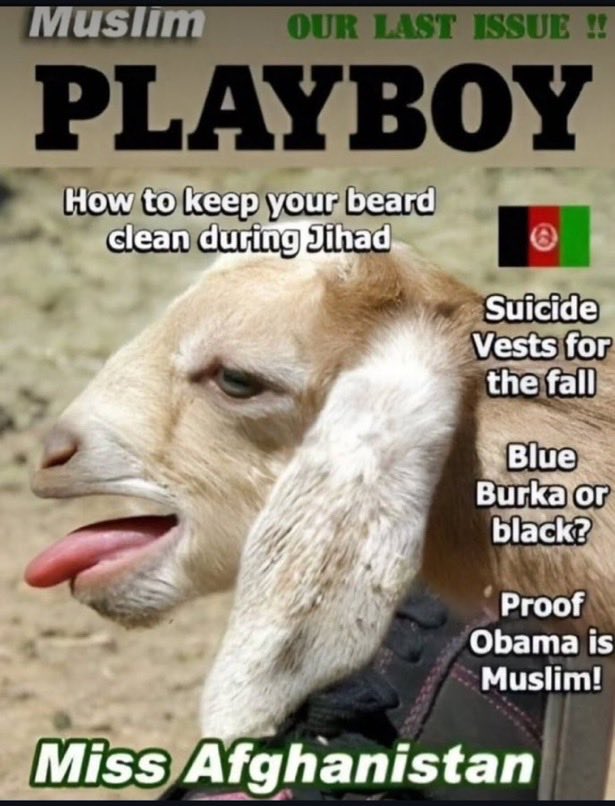 N Ecc 🏴🏴🏴 tweet media