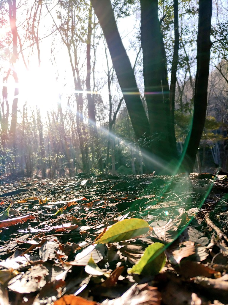 JIMNY de CAMP【❇️ｼﾞﾑｷｬﾝ❇️】 tweet media