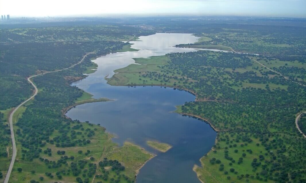 Madrid Proyecta 🏗️ tweet media