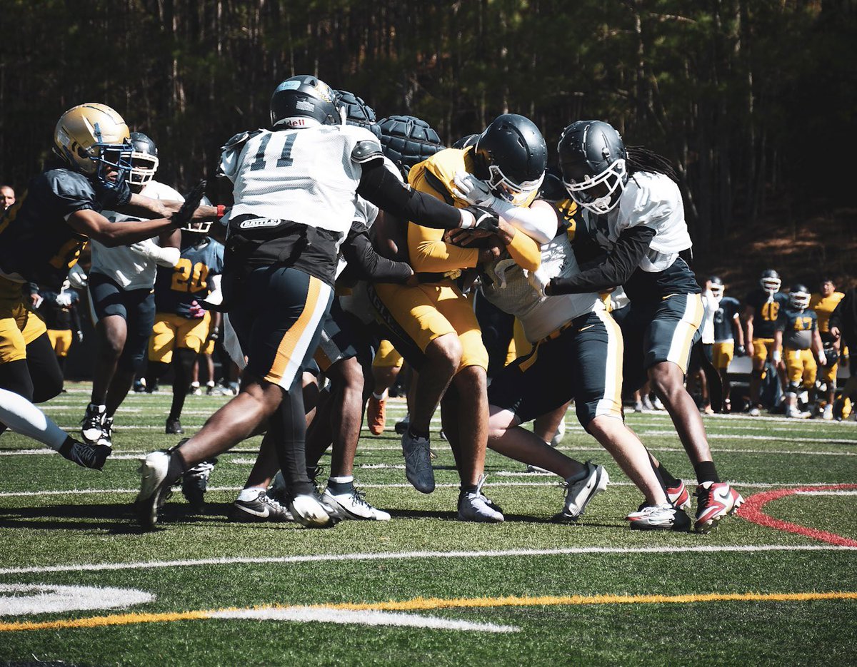 ReinhardtFB's tweet photo. Spring Ball 🏈 Week 2️⃣ 📸

Getting better every day 📈🦅

#PAYthePRICE https://t.co/MZOl5COULf