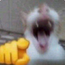 SuperFlyTNT tweet media