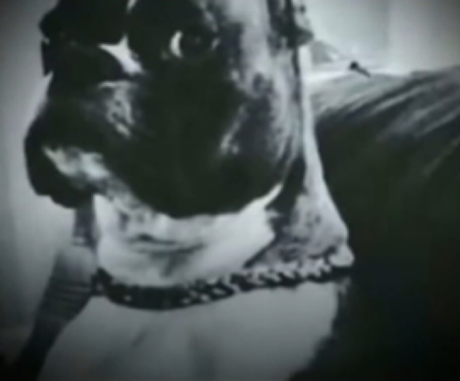 jonathan tweet media