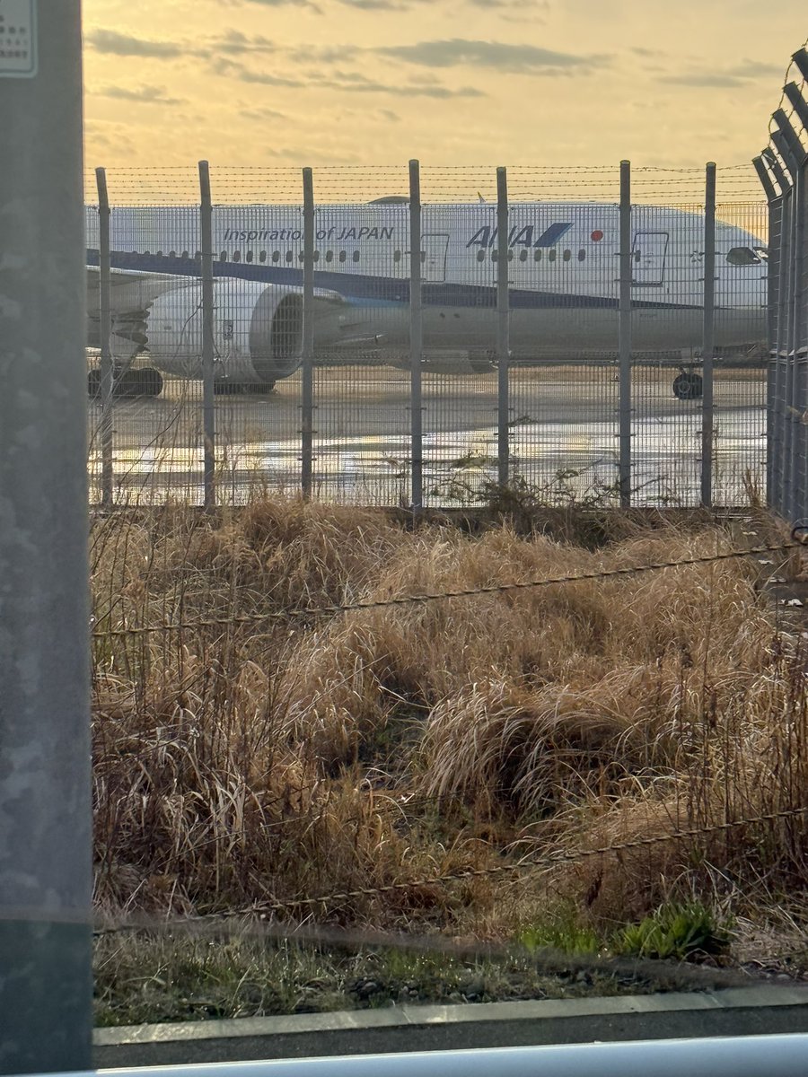 いってきます！