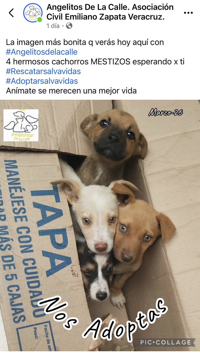 ANGIE COLUNGA tweet media