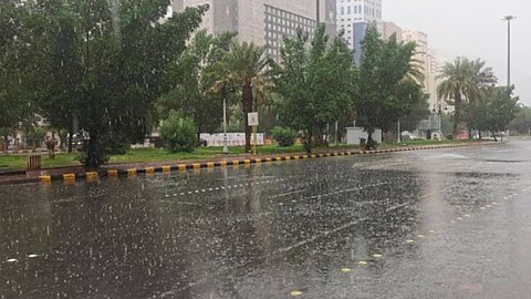 أخبار السعودية tweet media