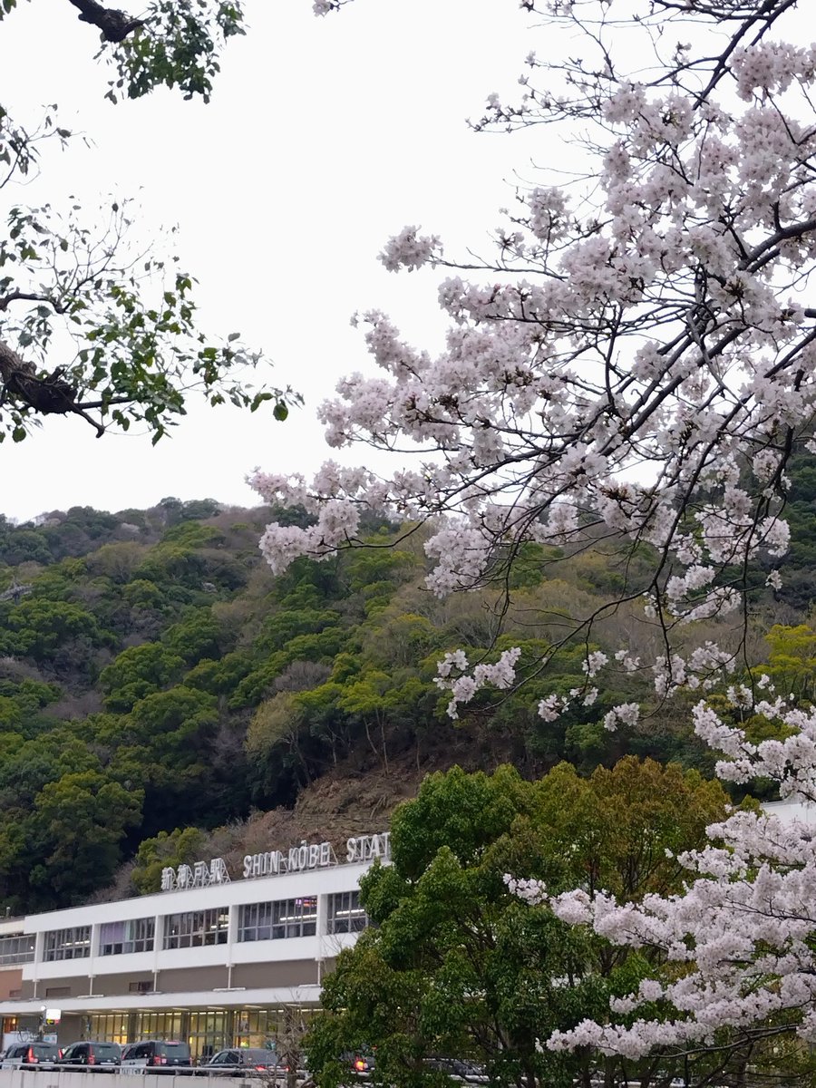 cococonokokoko tweet media