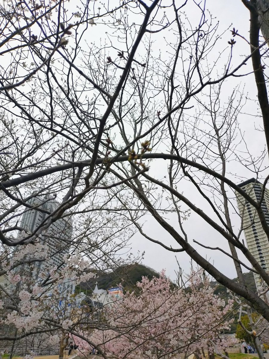 cococonokokoko tweet media