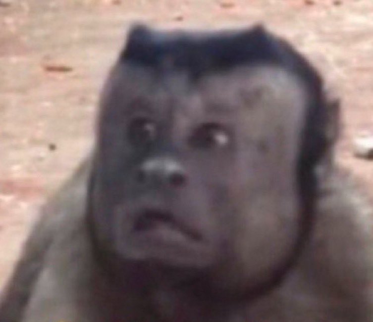 ' ᵜ ' | ARIRANG tweet media