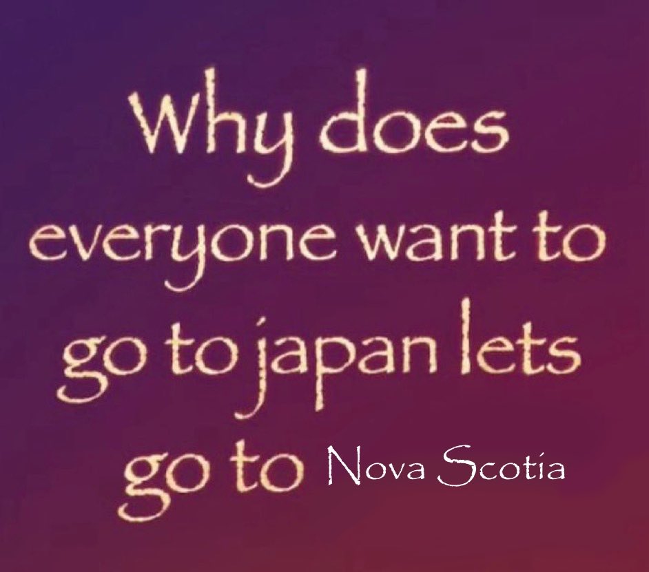 helios ˙𐃷˙ on follow back limit tweet media