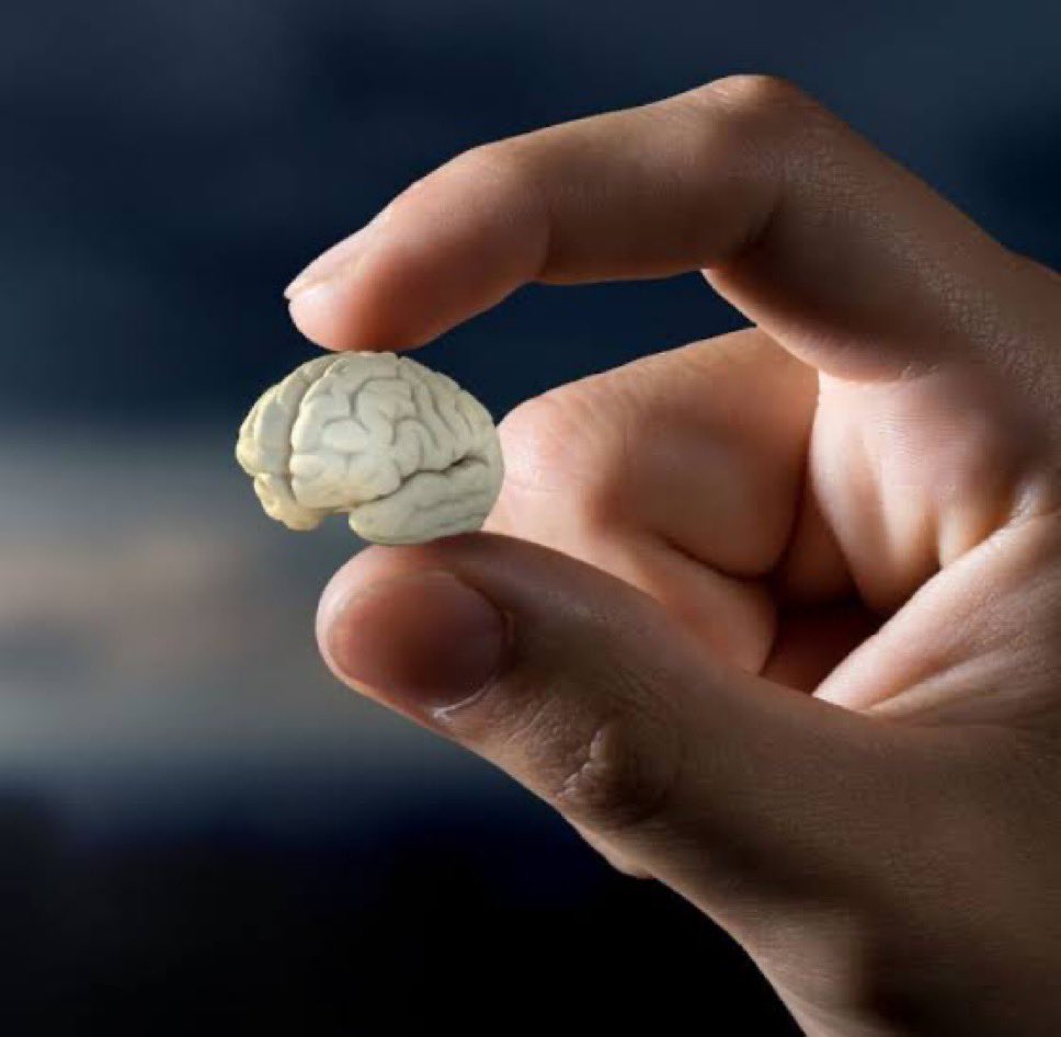 Patrick The Based Kenyan 🥷🏾🇰🇪 tweet media