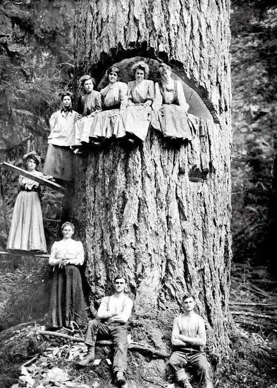 Lily🌱🌸🍓🍡 tweet media