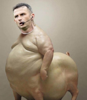 furiousduck tweet media